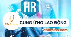 Công ty Cổ phần đầu tư và Phát triển Vin Brains