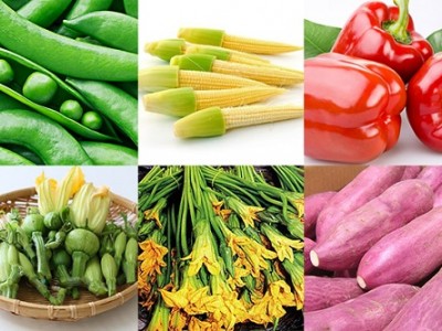 CÔNG TY TNHH NÔNG SẢN DŨNG HÀ
