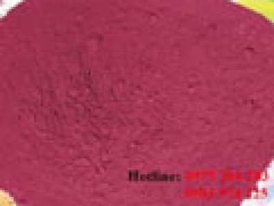 CÔNG TY TNHH CHẾ BIẾN NÔNG SẢN THỰC PHẨM HÒA PHÁT
