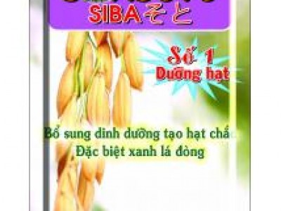 CÔNG TY TNHH SIBA