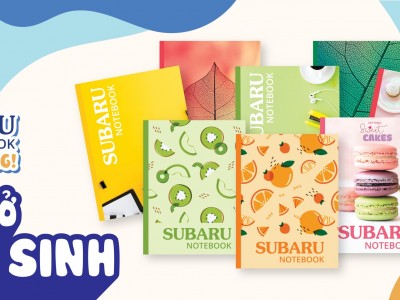 Công Ty TNHH THƯƠNG MẠI CÔNG NGHIỆP GIẤY VĨNH THỊNH