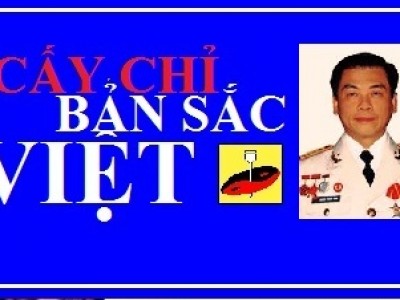 CẤY CHỈ MINH QUANG