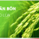 CÔNG TY TNHH SIBA