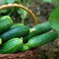 8 THỰC PHẨM GIẢM THÈM ĂN TĂNG ĐỐT MỠ