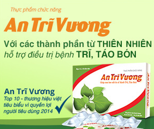 An Trĩ Vương